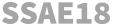 SSAE18